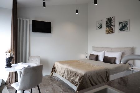 Апартаменты КЛАССИК Unique 