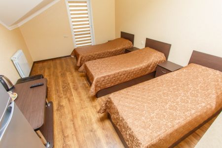 Стандарт Стандарт 3-местный 1 комнатный