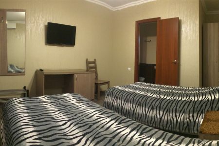 Стандарт Стандарт 2-местный Twin