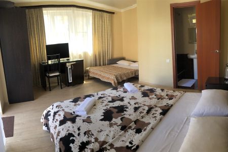 Стандарт Стандарт 4-местный