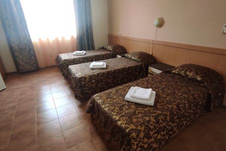 Стандарт 3-местный с видом на горы №36