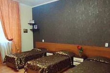 Эконом 3 местный