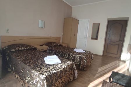 Стандарт Плюс 2-м с балконом №22