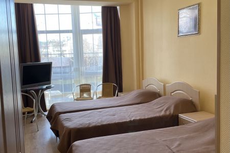 Комфорт 3-местный с панорамным окном