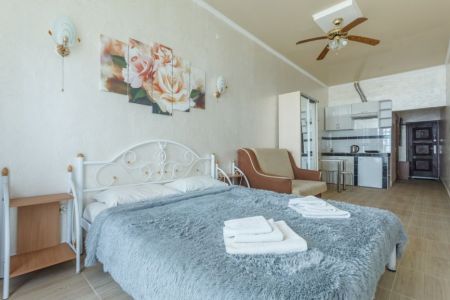 Студия Плюс 2-местная 1-комнатная