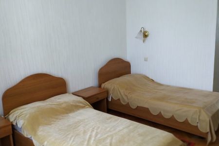 Стандарт 2-местный 1-комнатный с балконом и душевой кабиной Юг корпус 1