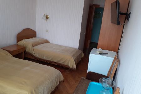 Стандарт 2-местный 1-комнатный с балконом и душем ЮГ корпус 1