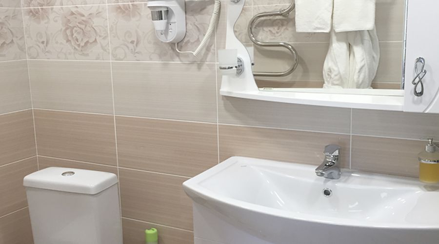 Люкс бизнес 2-местный 1-комнатный