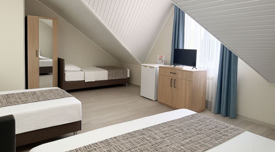 Эконом 4х-местный