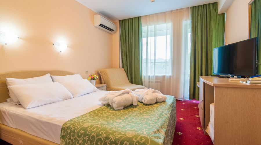 Стандартный 2-местный 1 категория корпус 1