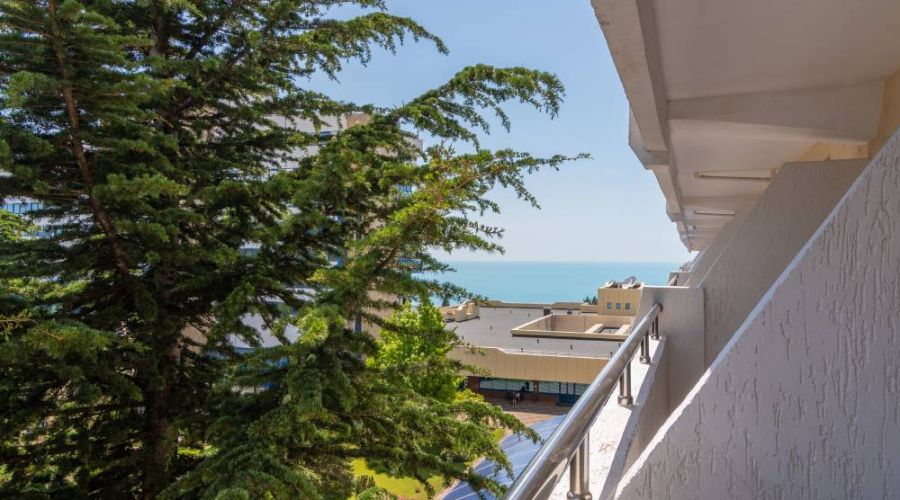 Стандартный 2-местный 1 категория корпус 1