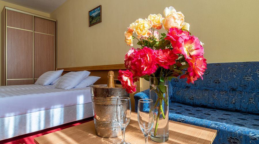 Стандартный 2-местный 1 категория корпус 2