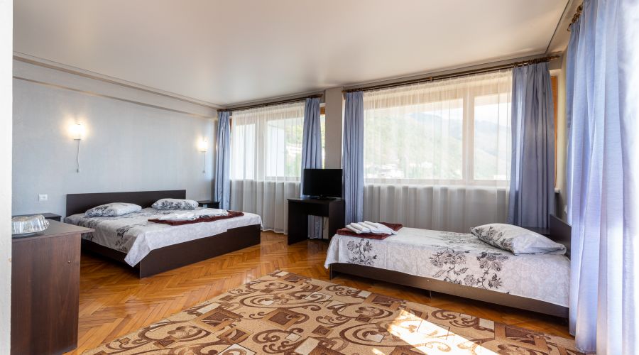 Люкс 3-местный 1-комнатный