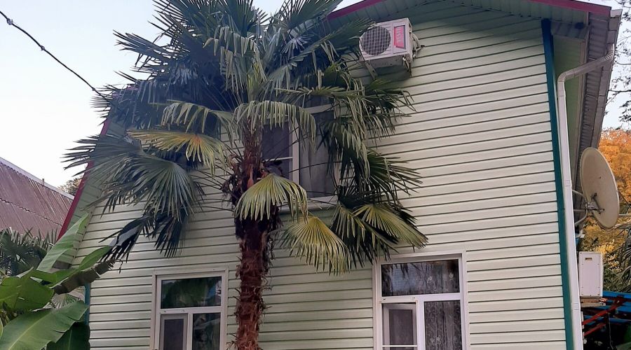 Повышенной комфортности 3-местный 1-комнатный (ПК)