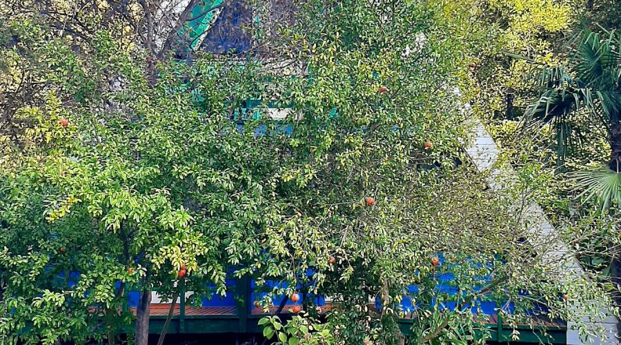 Эконом 3-местный 1-комнатный с удобствами на блок (Летний домик)(Эк)