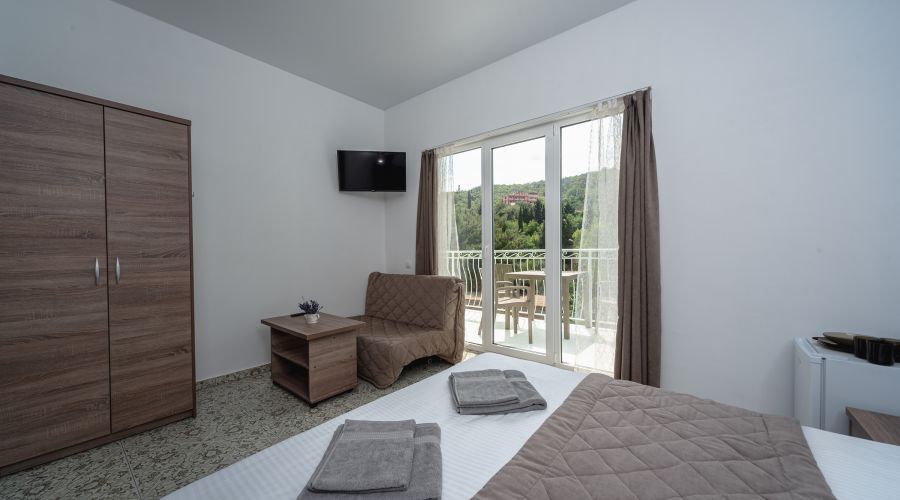 Апартаменты 2-местный 1-комнатный с видом на горы и парк