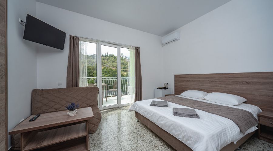 Апартаменты 2-местный 1-комнатный с видом на горы и парк