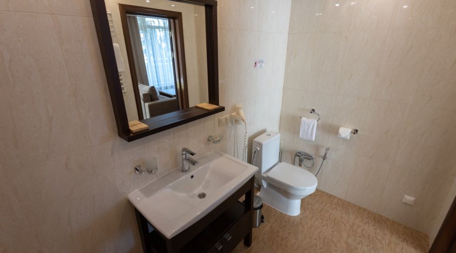 Полулюкс 2-местный 1-комнатный