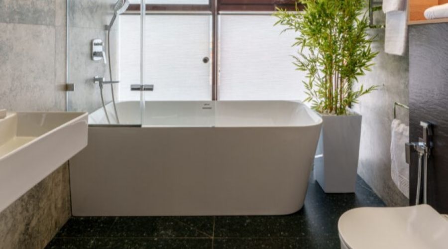 Делюкс Делюкс с ванной 2-местный