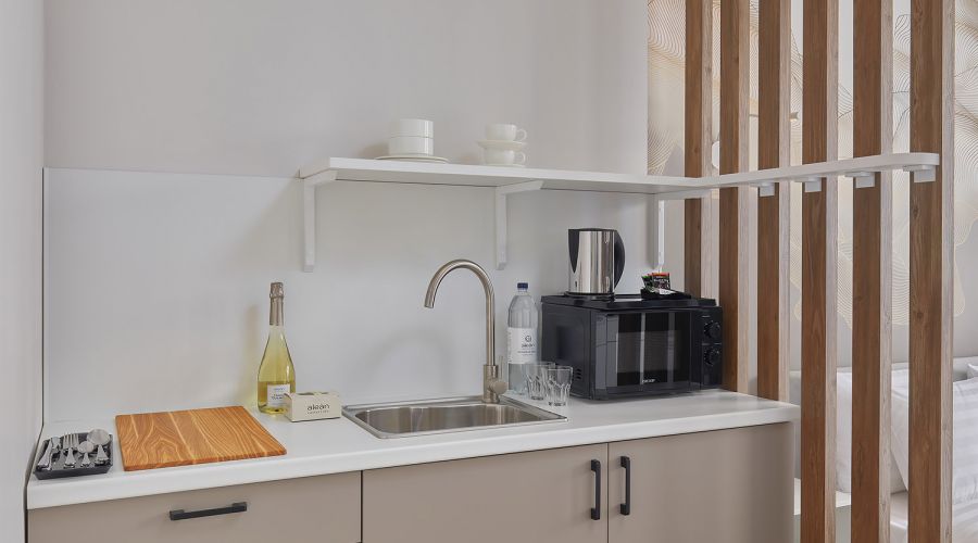 Studio 2-местный 1-комнатный STU