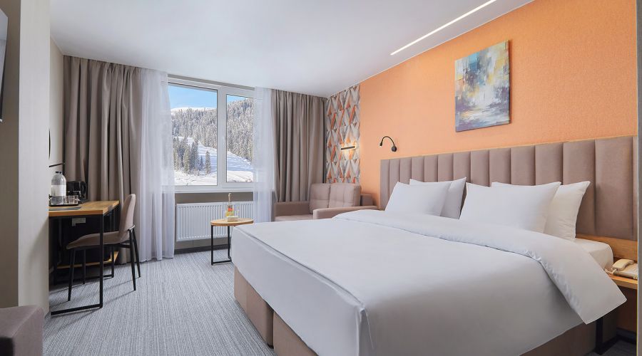 Standard Standart 2-местный 1-комнатный