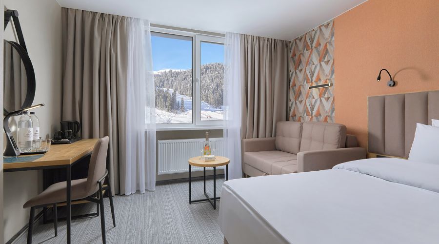 Standard Standart 2-местный 1-комнатный