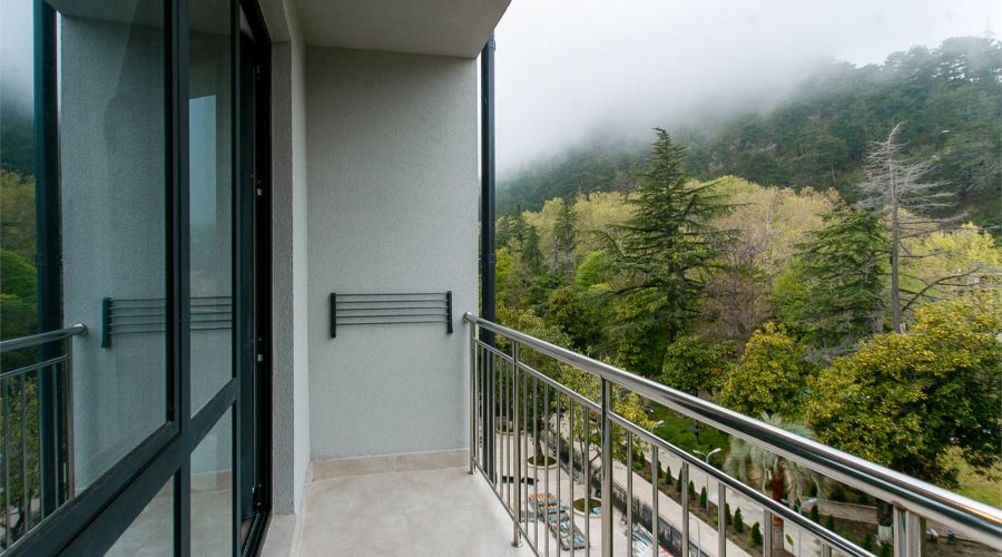 Комфорт Комфорт 2-местный TWIN с видом на парк и балконом