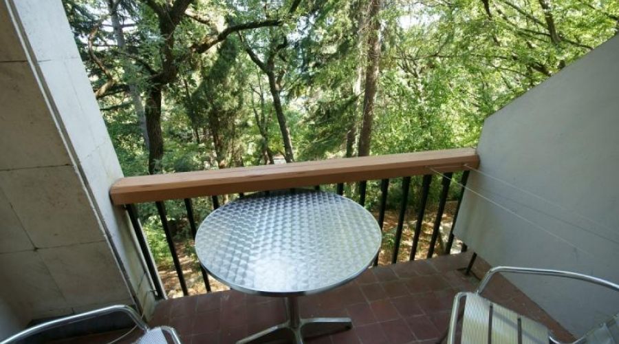 2-комнатный 2-местный Юг корпус 2