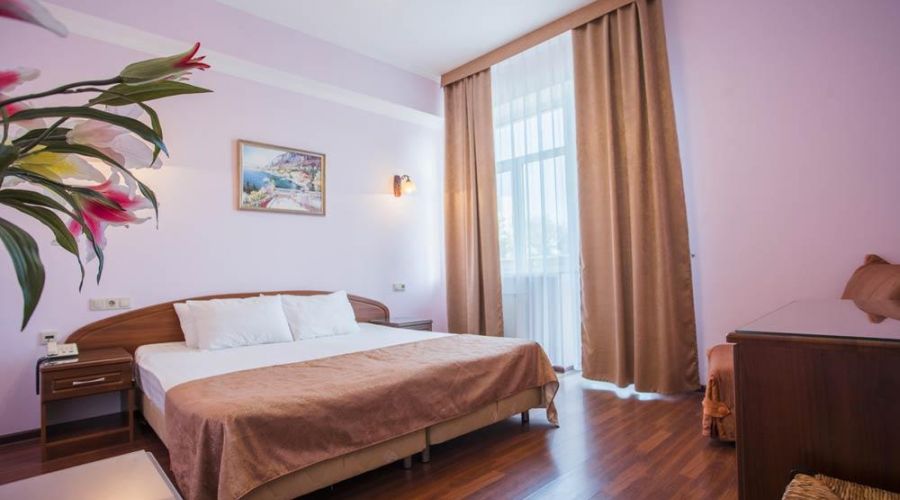 2-х местный номер 1 категории 24 кв.м вид на город