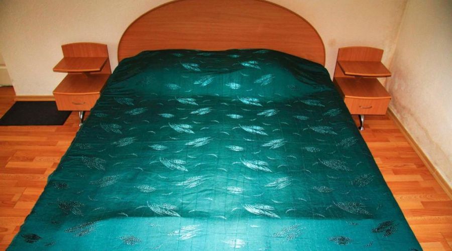 Двухместный "Эконом" ("Энерго")