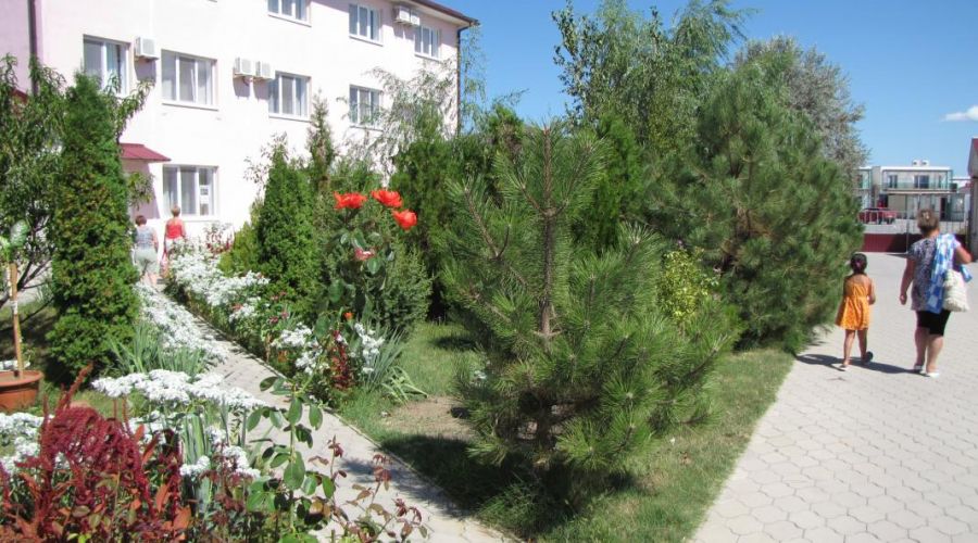 Стандарт одноместный, 6 корпус