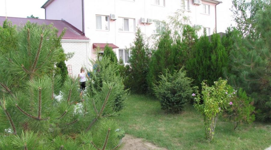 Стандарт одноместный, 6 корпус