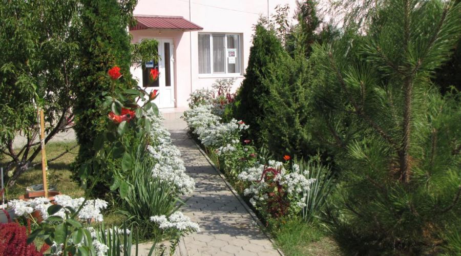 Стандарт одноместный, 6 корпус