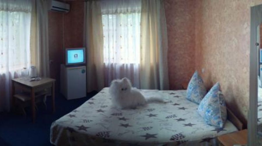 2-местный 1 категории (3-х этажный корпус)