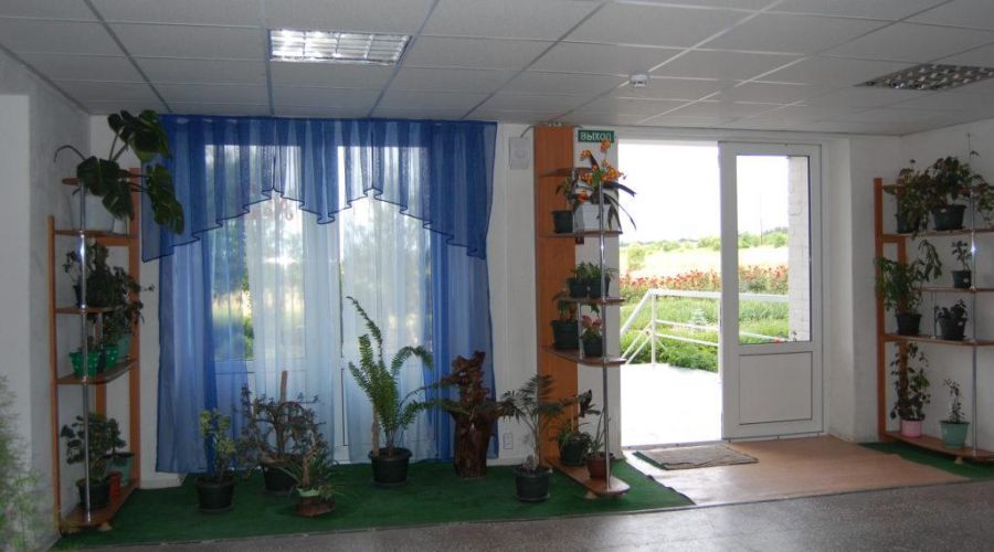 Люксы 2-х комнатные