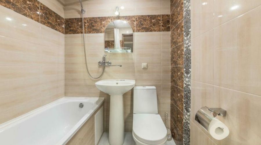 1-комнатный Стандарт Плюс вид на парк (18-20 кв.м)