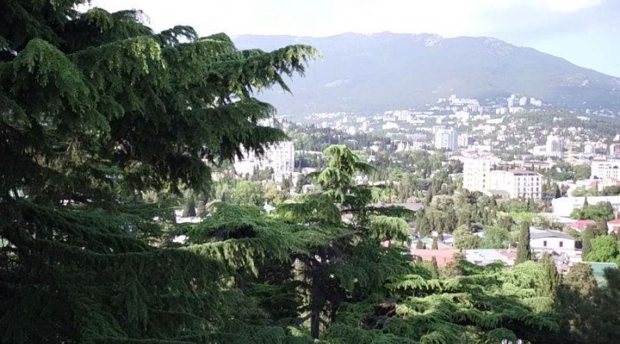 Премиум Люкс