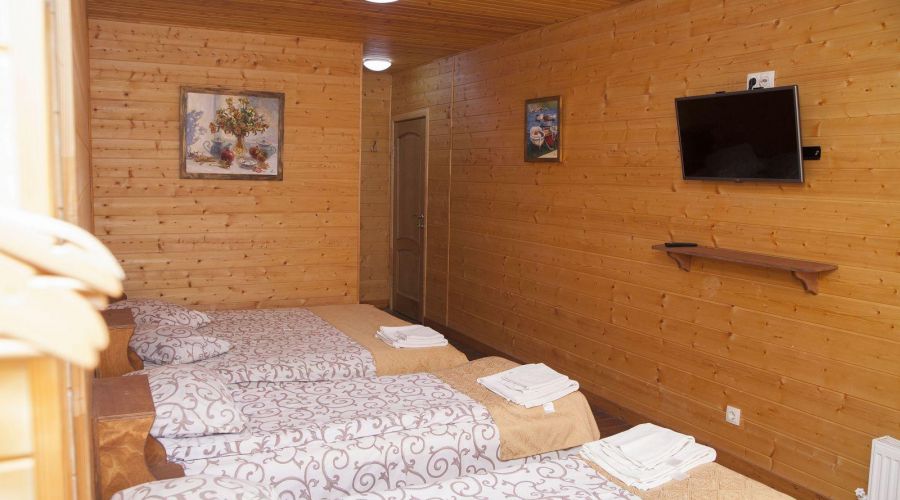 Стандарт Семейный