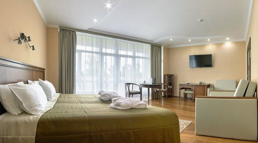 Комфорт 2-местный 1-комнатный (Джуниор Сюит)