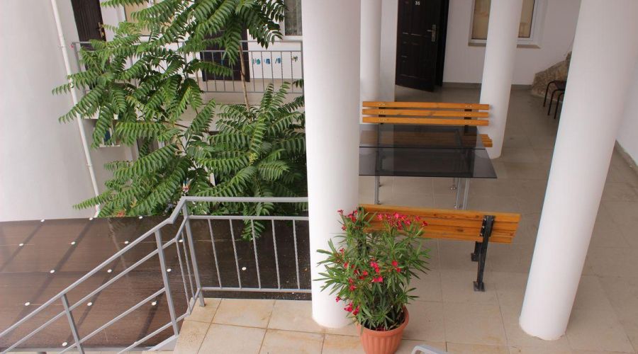 «Стандарт»