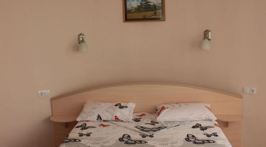 «Стандарт»