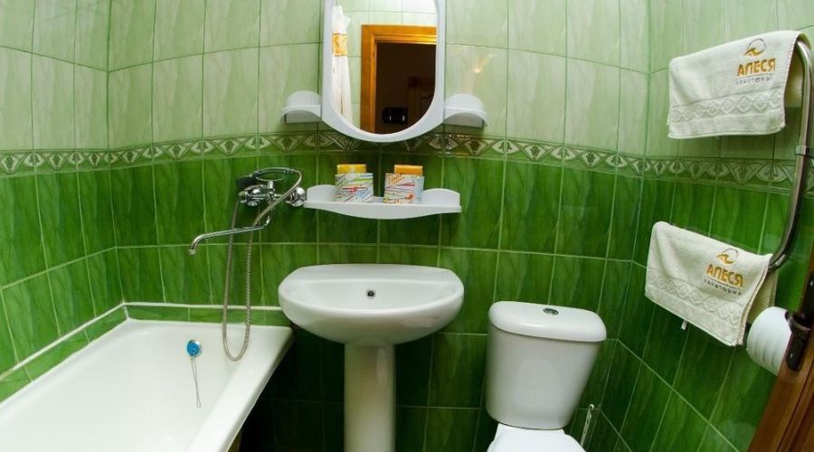 2-местный 1-комнатный &laquo;Твин&raquo; (1-5 корпус, площадь номера 16,5 кв.м.)