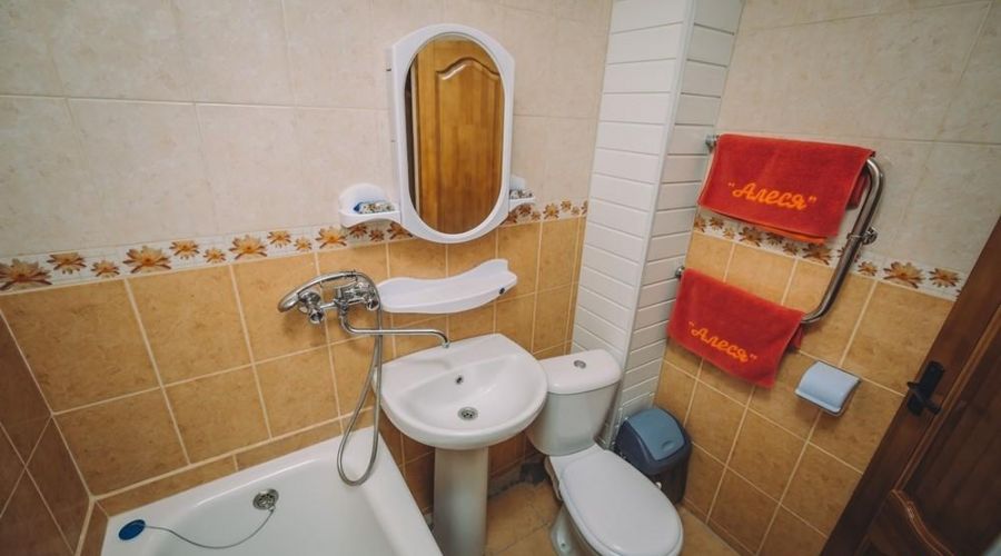 2-местный 1-комнатный &laquo;Дабл&raquo; (1,3 корпус, площадь номера 16.5 м.кв.)