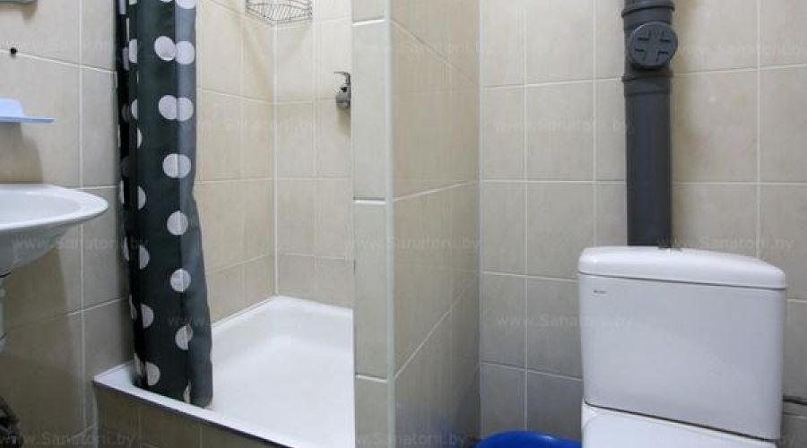 1 местный номер типа "А"  (2 корпус)