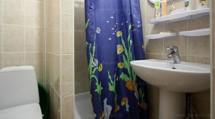 1 местный номер типа "А"  (1 корпус)