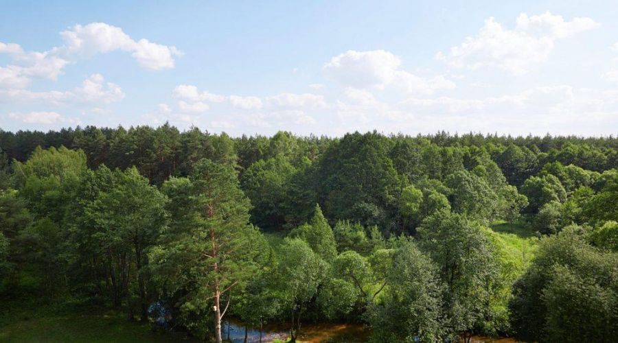 Стандарт с балконом