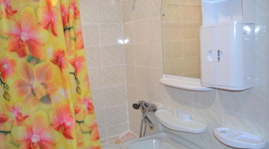 1-комнатный 1-местный (корпус 1)