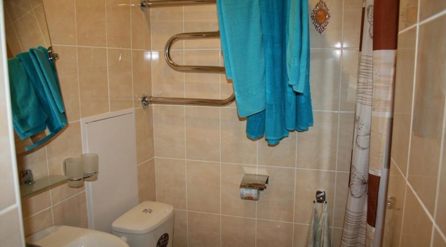 1-комнатный 2-местный (корпус 1)