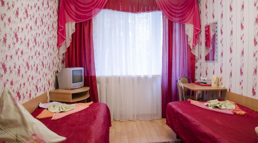 Твин двухместный с телевизором без холодильника корпус 1,3,4