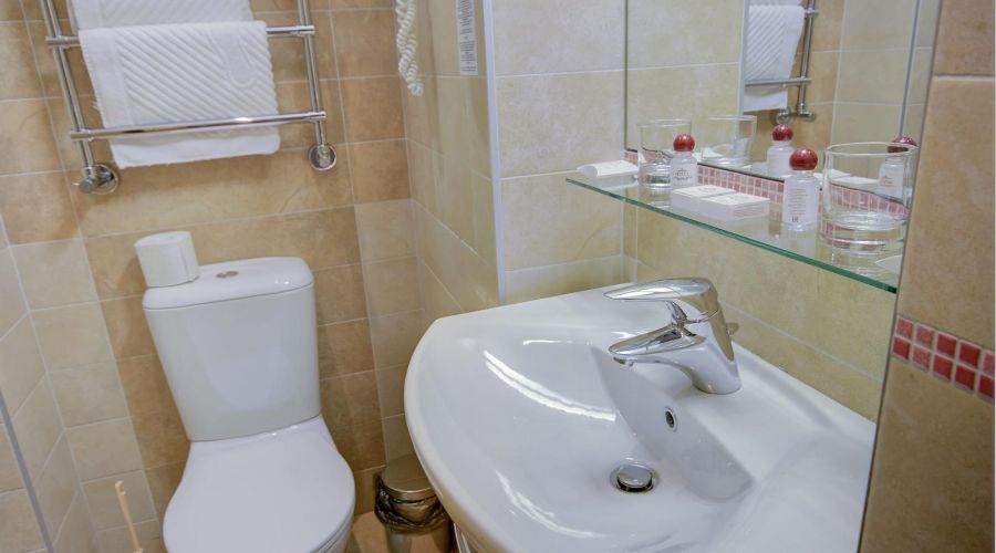 Стандартный двухместный TWIN (главный корпус)